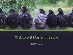 Free Hens PowerPoint Template