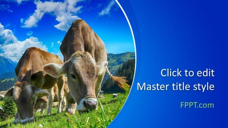 160595 Cows Template 16x9 1 Free PowerPoint Templates   160595 Cows Template 16x9 1 768x432 