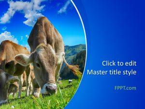 Free Cows PowerPoint Template