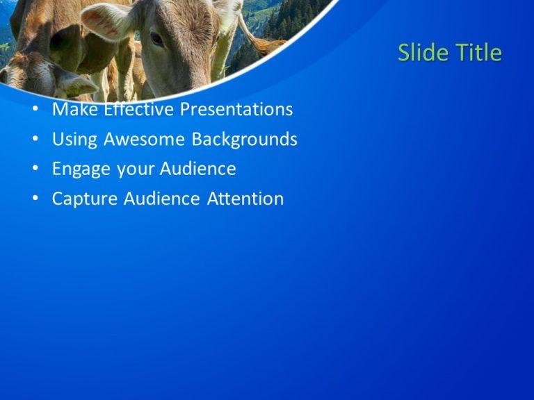 160595 Cows Template 4x3 2 Free PowerPoint Templates   160595 Cows Template 4x3 2 768x576 