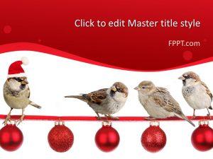 Free Christmas Sparrows PowerPoint Template