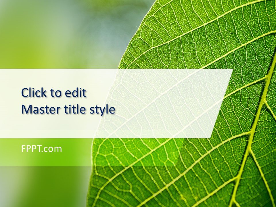 Free Green Leaf PowerPoint Background - Free PowerPoint Templates