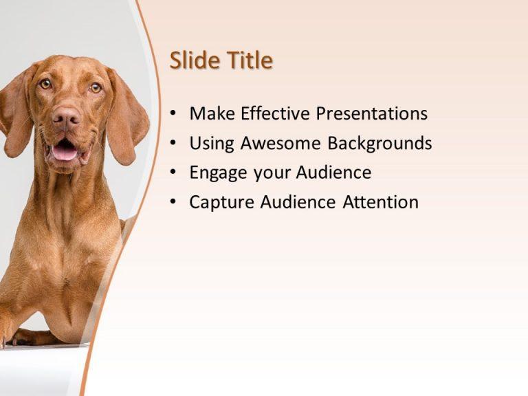 160961 dog template 4x3 3 Free PowerPoint Templates