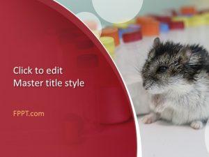 Free Lab Rat PowerPoint Template