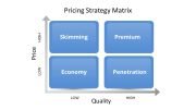 3068-pricing-strategy-matrix-16x9-1