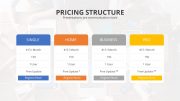 30003-business-template-2-9-pricing-structure