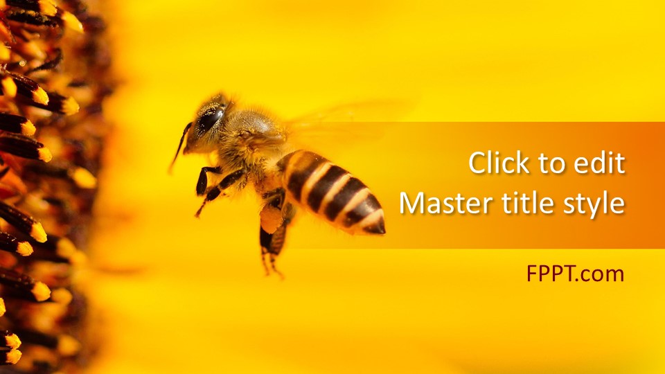 Free Honey Bee PowerPoint Template Free PowerPoint Templates