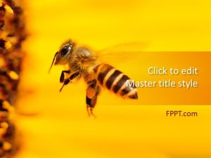 Free Honey Bee PowerPoint Template